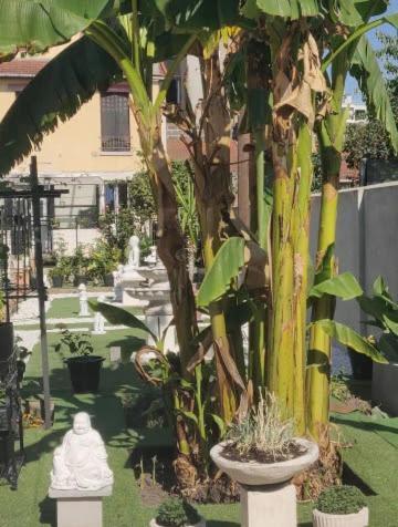 Chambre Solo Duo 20 Min Paris Drancy Εξωτερικό φωτογραφία